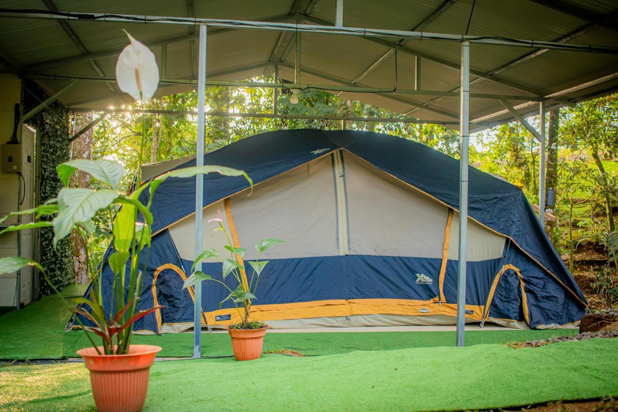 Villa Campo'S Venecia Ngoại thất bức ảnh